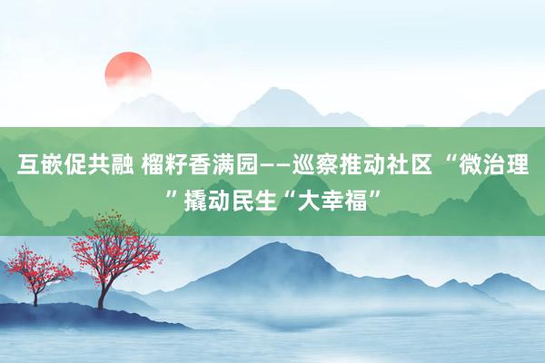 互嵌促共融 榴籽香满园——巡察推动社区 “微治理”撬动民生“大幸福”