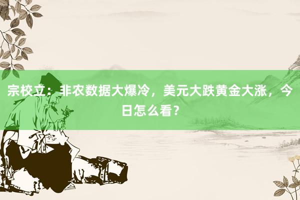宗校立：非农数据大爆冷，美元大跌黄金大涨，今日怎么看？
