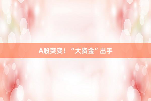 A股突变！“大资金”出手