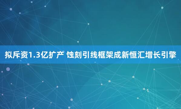 拟斥资1.3亿扩产 蚀刻引线框架成新恒汇增长引擎