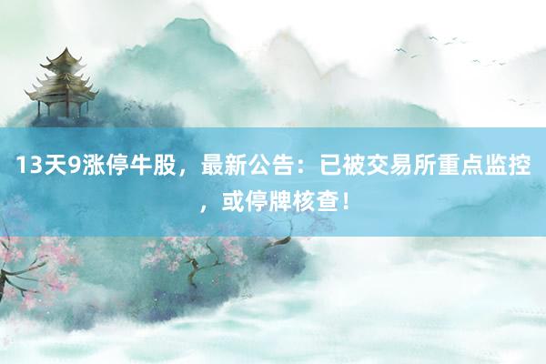 13天9涨停牛股，最新公告：已被交易所重点监控，或停牌核查！