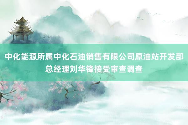 中化能源所属中化石油销售有限公司原油站开发部总经理刘华锋接受审查调查