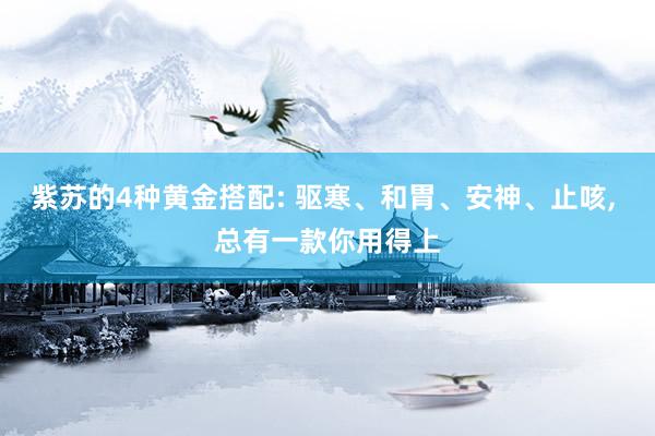 紫苏的4种黄金搭配: 驱寒、和胃、安神、止咳, 总有一款你用得上