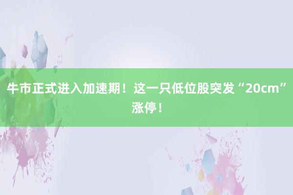牛市正式进入加速期！这一只低位股突发“20cm”涨停！
