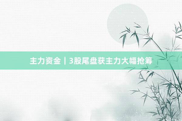 主力资金｜3股尾盘获主力大幅抢筹