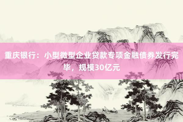 重庆银行：小型微型企业贷款专项金融债券发行完毕，规模30亿元