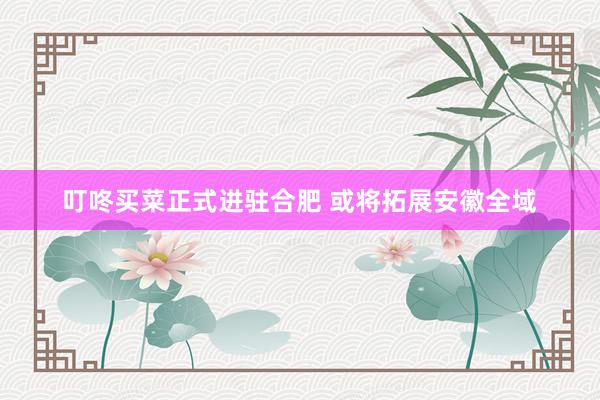 叮咚买菜正式进驻合肥 或将拓展安徽全域