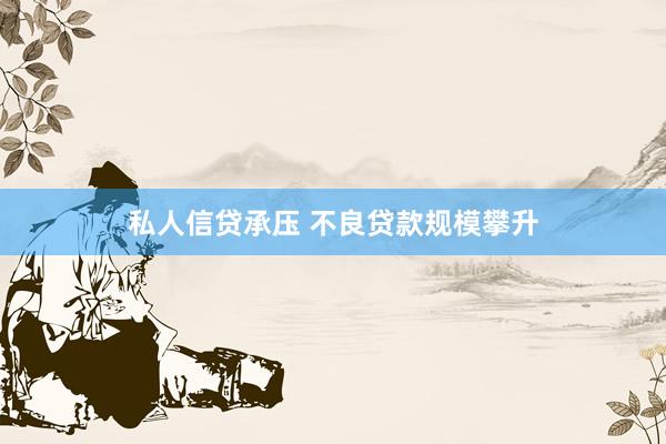 私人信贷承压 不良贷款规模攀升