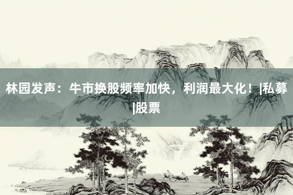 林园发声：牛市换股频率加快，利润最大化！|私募|股票
