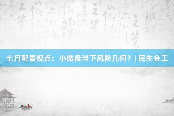 七月配置视点：小微盘当下风险几何？| 民生金工