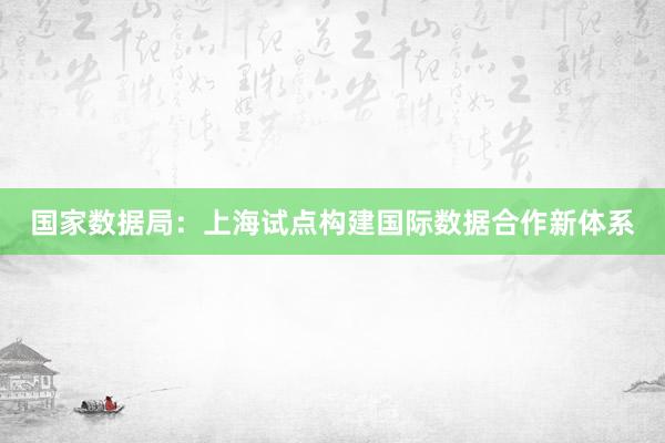 国家数据局：上海试点构建国际数据合作新体系
