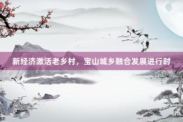 新经济激活老乡村,宝山城乡融合发展进行时
