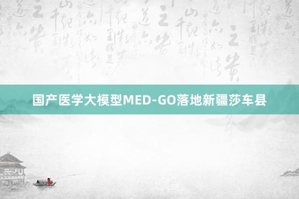 国产医学大模型MED-GO落地新疆莎车县
