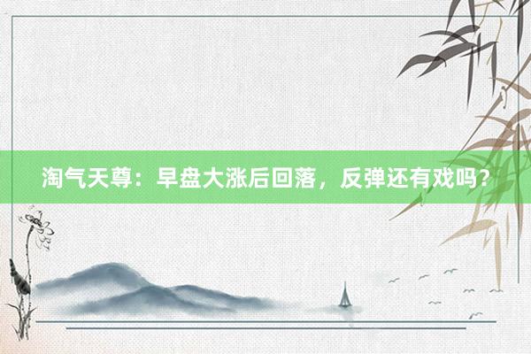 淘气天尊：早盘大涨后回落，反弹还有戏吗？