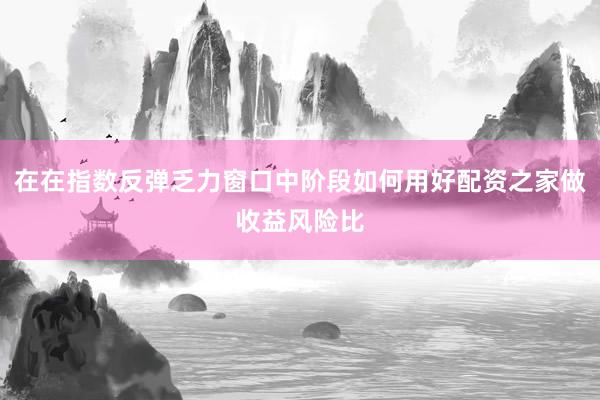 在在指数反弹乏力窗口中阶段如何用好配资之家做收益风险比