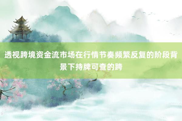 透视跨境资金流市场在行情节奏频繁反复的阶段背景下持牌可查的跨