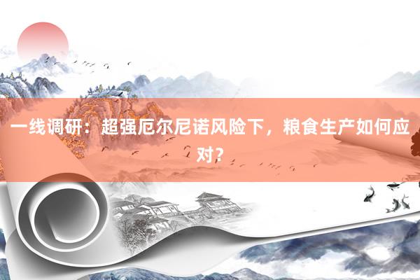 一线调研：超强厄尔尼诺风险下，粮食生产如何应对？