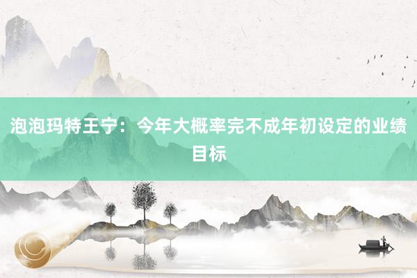 泡泡玛特王宁：今年大概率完不成年初设定的业绩目标
