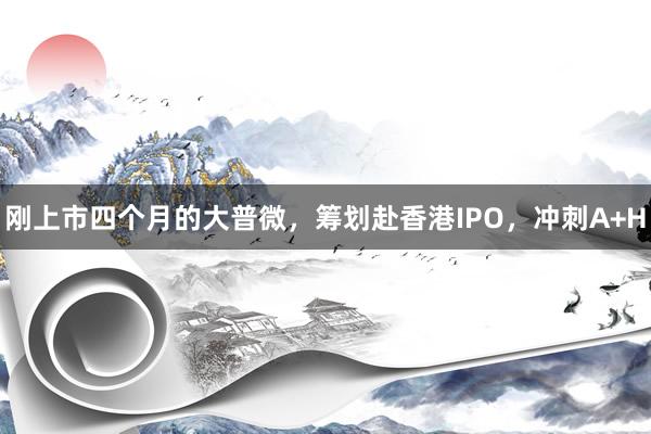 刚上市四个月的大普微，筹划赴香港IPO，冲刺A+H