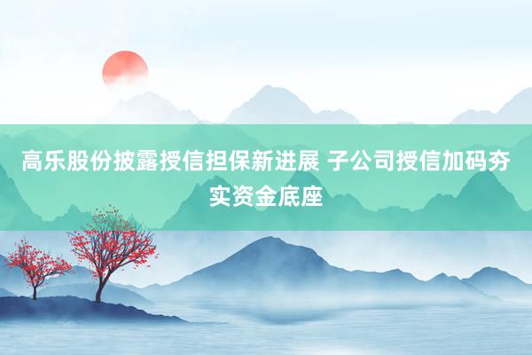 高乐股份披露授信担保新进展 子公司授信加码夯实资金底座