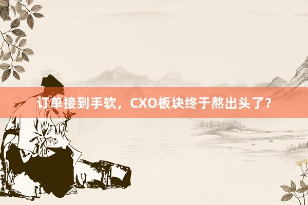 订单接到手软，CXO板块终于熬出头了？