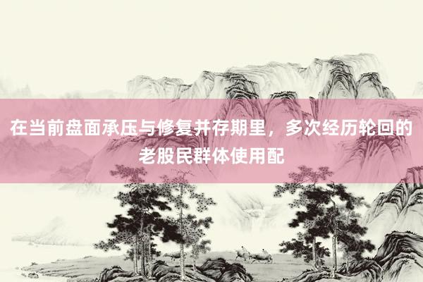 在当前盘面承压与修复并存期里，多次经历轮回的老股民群体使用配