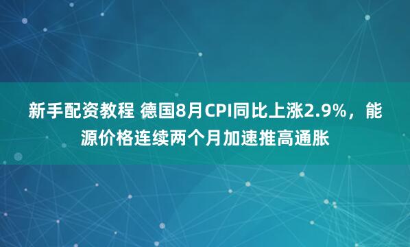 新手配资教程 德国8月CPI同比上涨2.9%，能源价格连续两个月加速推高通胀
