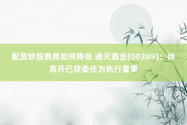配资炒股费用如何降低 通天酒业(00389)：徐高升已获委任为执行董事