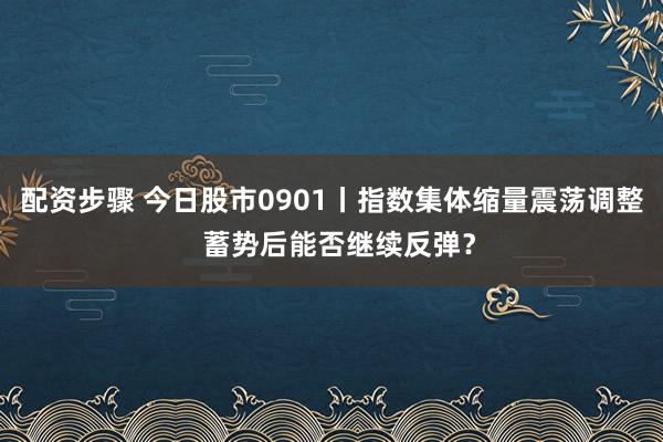 配资步骤 今日股市0901丨指数集体缩量震荡调整  蓄势后能否继续反弹？