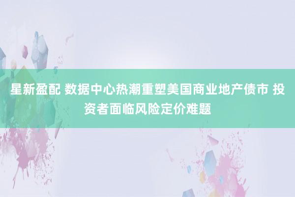 星新盈配 数据中心热潮重塑美国商业地产债市 投资者面临风险定价难题