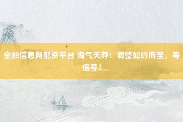 金融信息网配资平台 淘气天尊：调整如约而至，等信号！