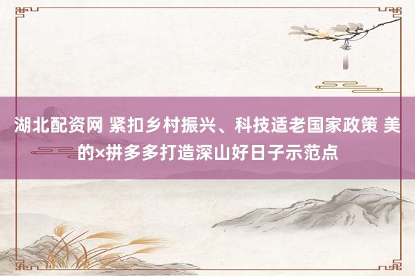 湖北配资网 紧扣乡村振兴、科技适老国家政策 美的×拼多多打造深山好日子示范点