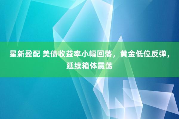 星新盈配 美债收益率小幅回落，黄金低位反弹，延续箱体震荡