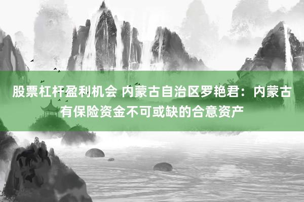 股票杠杆盈利机会 内蒙古自治区罗艳君：内蒙古有保险资金不可或缺的合意资产