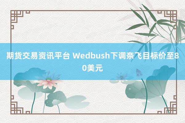 期货交易资讯平台 Wedbush下调奈飞目标价至80美元